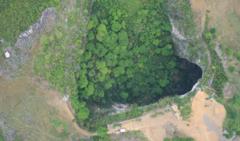 China's giant sinkholes are a tourist hit - but ancient forests inside are at risk