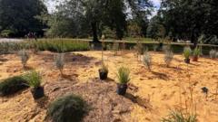Chelsea Flower Show's Australian garden replanted