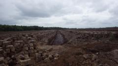 Ireland facing EU court case over peat extraction