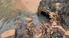 Sewage pollutes beach for more than two weeks