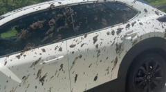 Cars covered in slurry at busy beauty spot