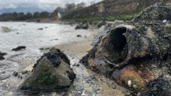 NI Water should be prosecuted for pollution incidents