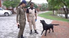 پنجاب، پولیس، کتے