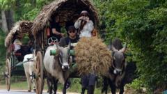ஸ்ரீலங்கா சுற்றுலா பயணிகள்