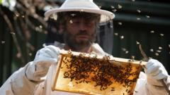 'Beekeeping really helped me after I left prison'