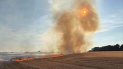 Safety warning after foil balloon sparks field fire