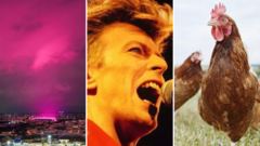 West Midlands news quiz of the week