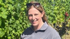 Welsh wine blooms as climate brings 'opportunity and risk'