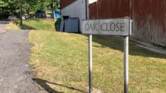 Boy, 10, dies after collision with delivery van