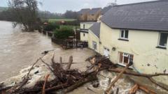 Sawl rhybudd tywydd mewn grym a llifogydd 'yn debygol'