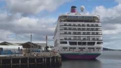 Search launched for man feared to have fallen overboard from cruise