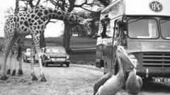 World's first safari park celebrates 60 years