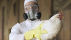 kasus-flu-burung-merebak-para-ilmuwan-bersiap-hadapi-kemunculan-pandemi-berikutnya