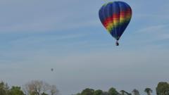 Your photos: High flying views and cute lambs