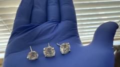 Earrings worth $769,500 recovered by Florida police after alleged thief swallows them