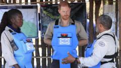 Could Harry Follow in Diana&#039;s Footsteps on a Landmine Walk in Angola?
