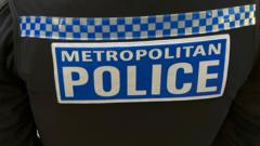 Met PC avoids jail over drunken pub sexual assault