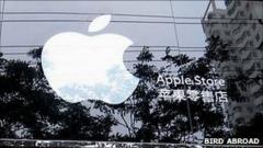 _54193420_fakeapplestore,birdabroad.jpg