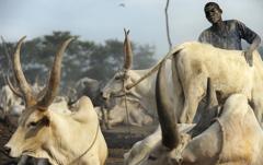 Dinka herdsman
