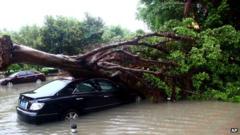 In this photo provided by China's Xinhua News Agency, a car is hit by a fallen tree in Ruian City, east China's Zhejiang Province, 7 October 2013