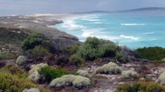 Freedom Ride: Turning point in Australia's race relations - BBC News