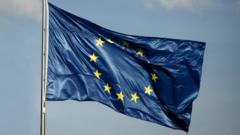 EU flag
