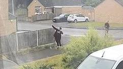 A young teenager dressed in all black with his arms outstretched, aiming a slingshot at a pigeon out of frame