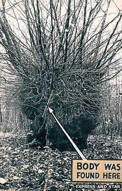 A boy playing in woods in Hagley found Bella's skull in 1943