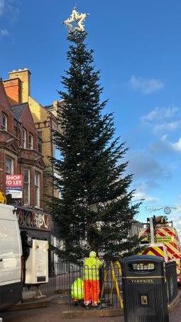 Council staff wearing hi-vis clothing can be seen working at the foot of the Christmas tree, with two council cherry picker vans parked on either side, and a black bin in the foreground.
