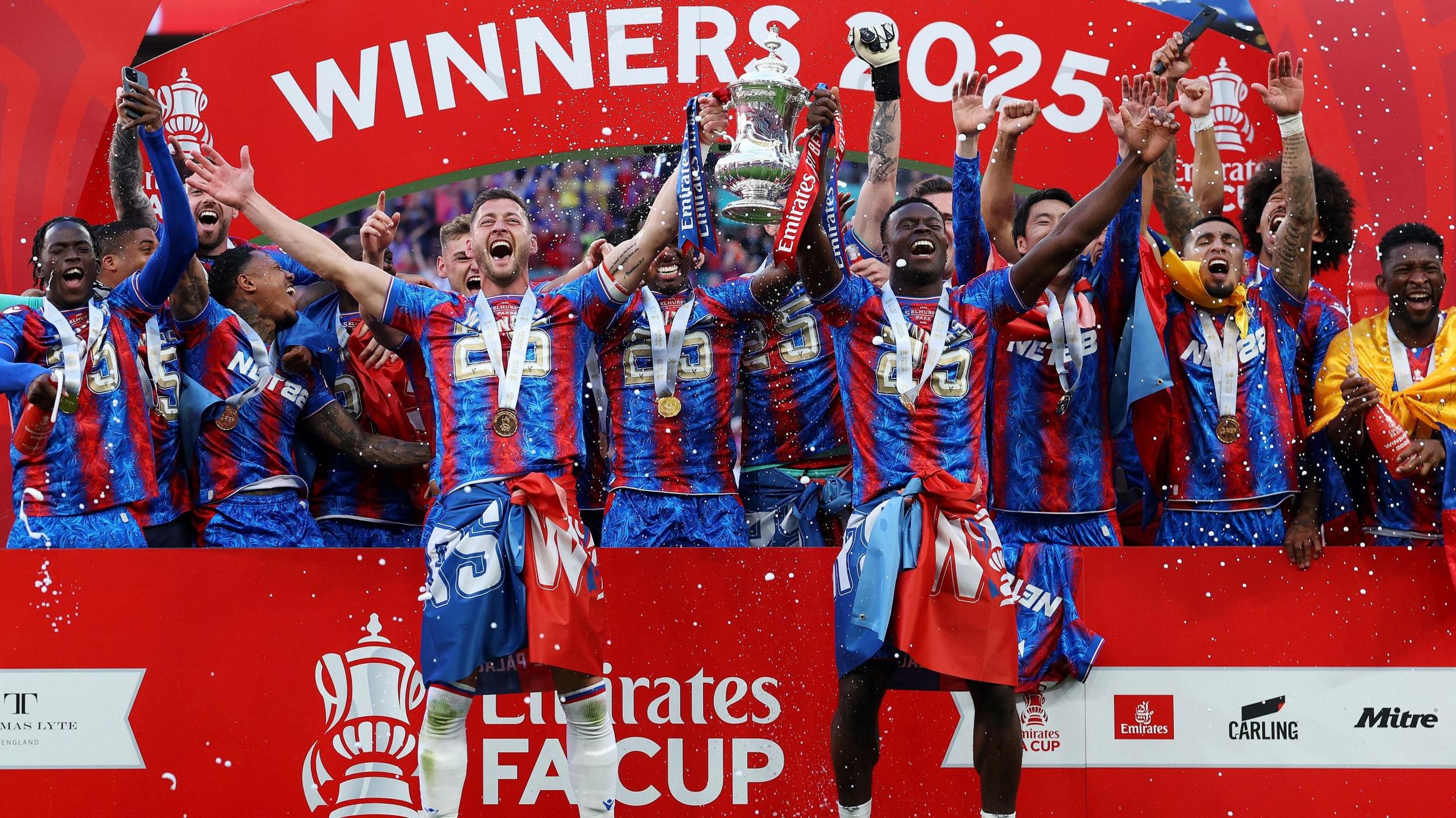 Crystal Palace beat Manchester City to win the FA Cup last season