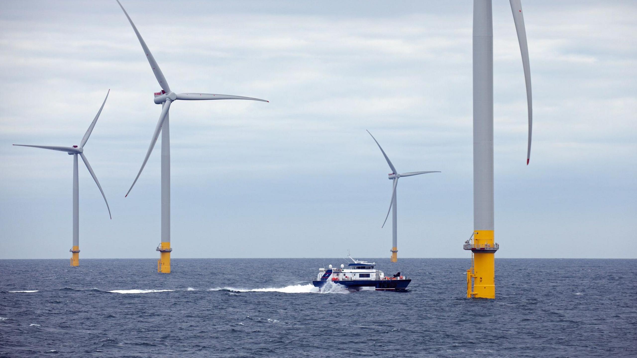 A small boat travels between a group of wind turbines that rise from the blue water of the North Sea. Each has a yellow bases and tall grey shafts, with three large blades.