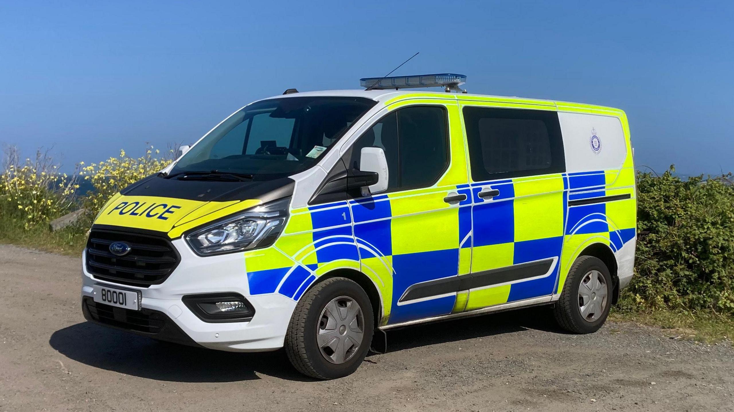 A police van parked next to a hedge overlooking the sea on a clear day.