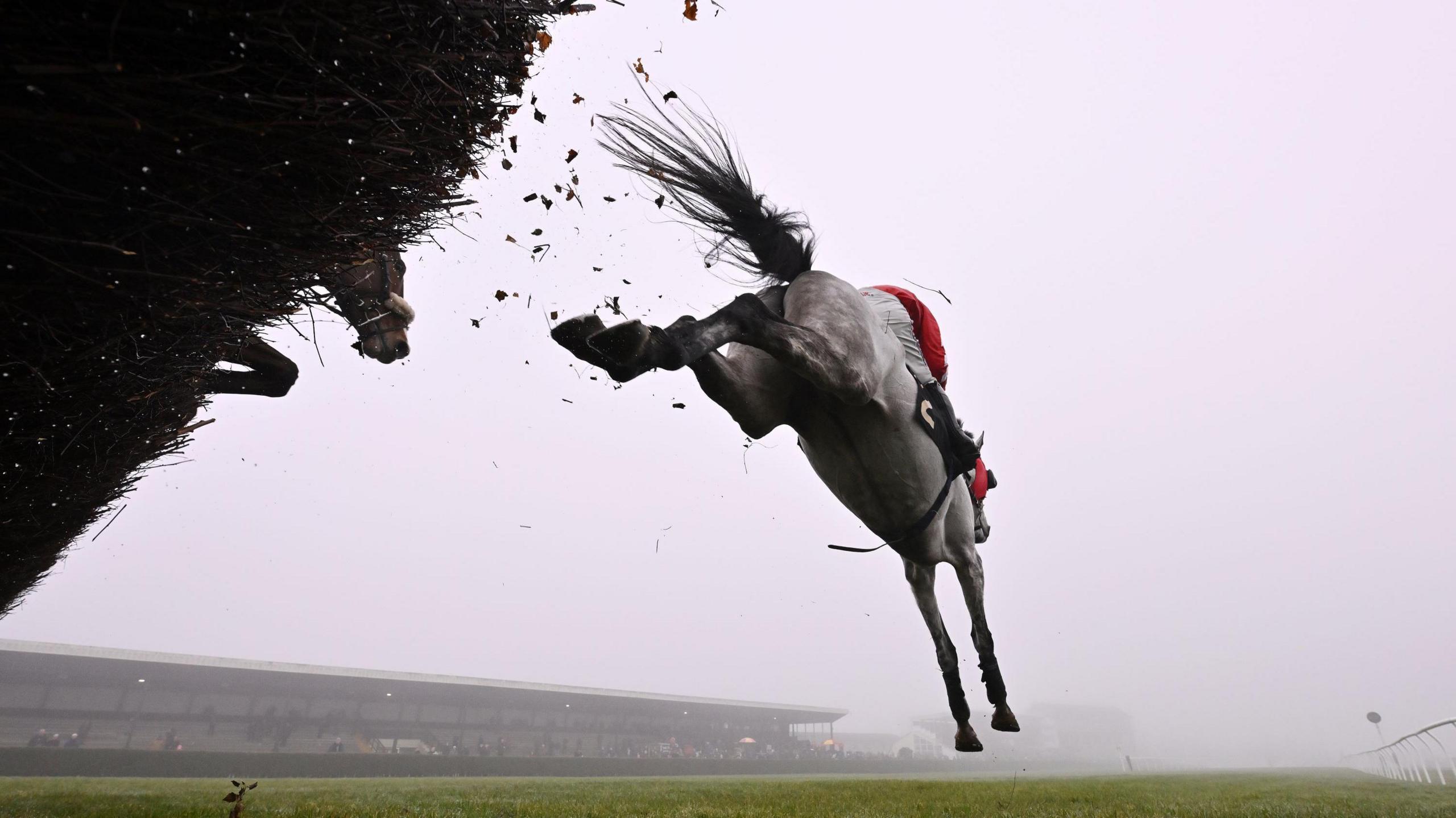 A horse called First Lord de Cuet ridden by Jack Tudor, is seen clearing a fence at Wincanton Racecourse in Somerset. The picture is taken from the base of the jump and shows the horse in the air about to land. The main stand is visible in the background through a light fog