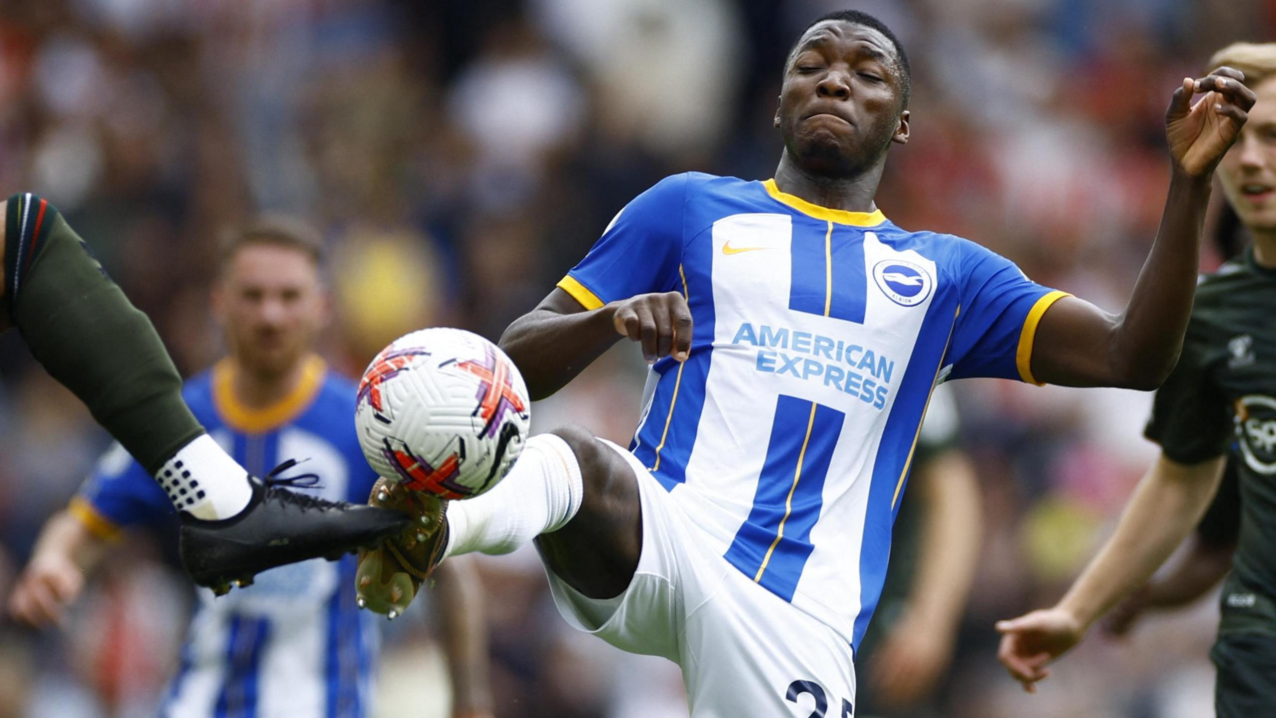 Moises Caicedo in action for Brighton