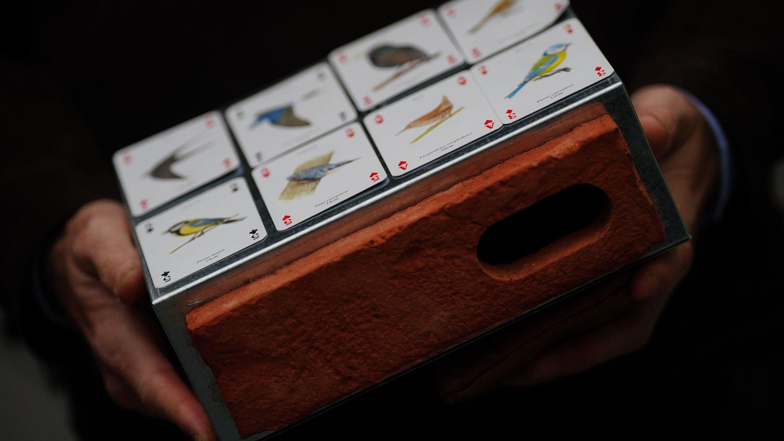 A man holds a swift box with images of different house-dependent nesting birds placed on top