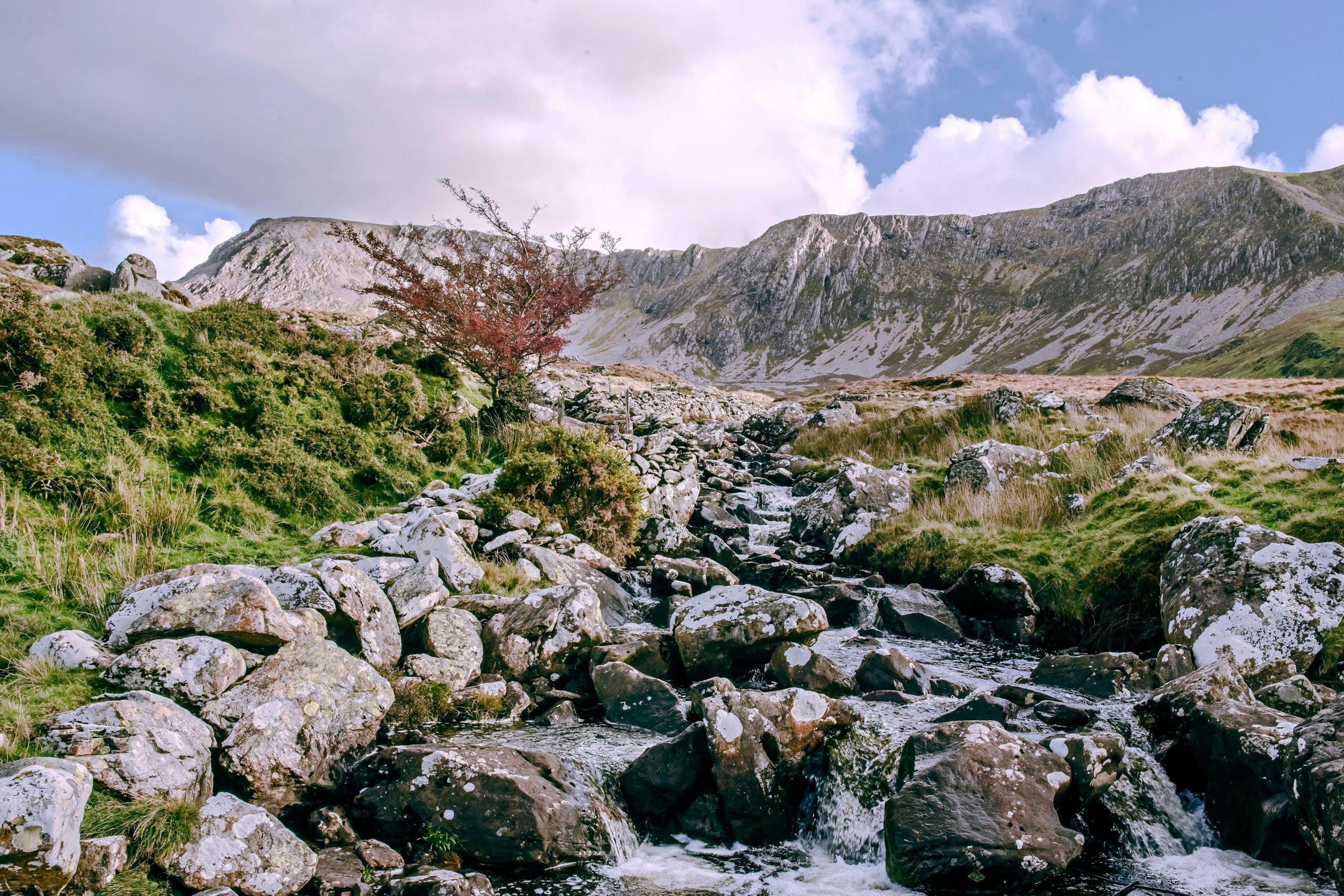 cader idris