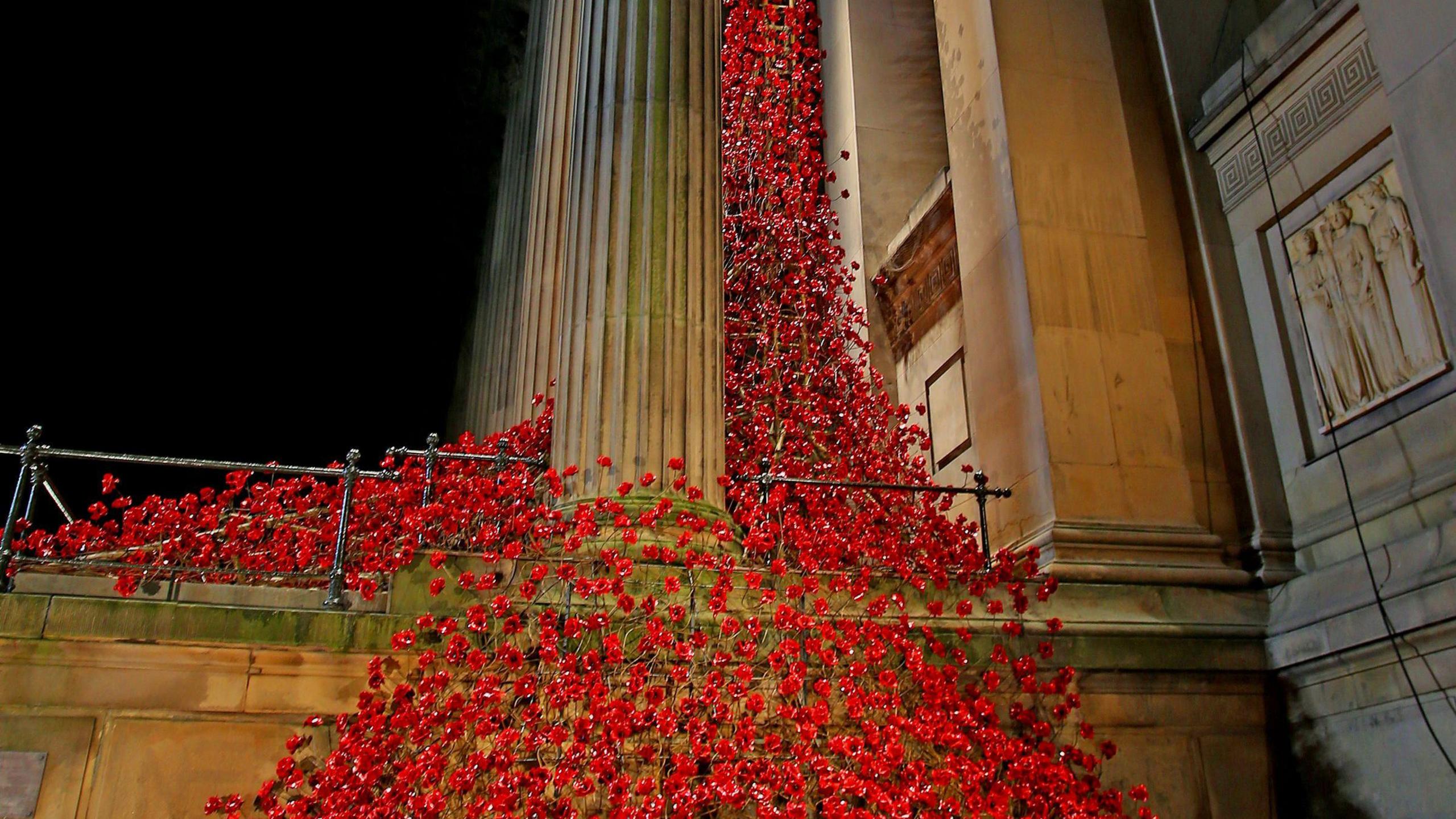 There are hundreds of red poppies on the side of a building