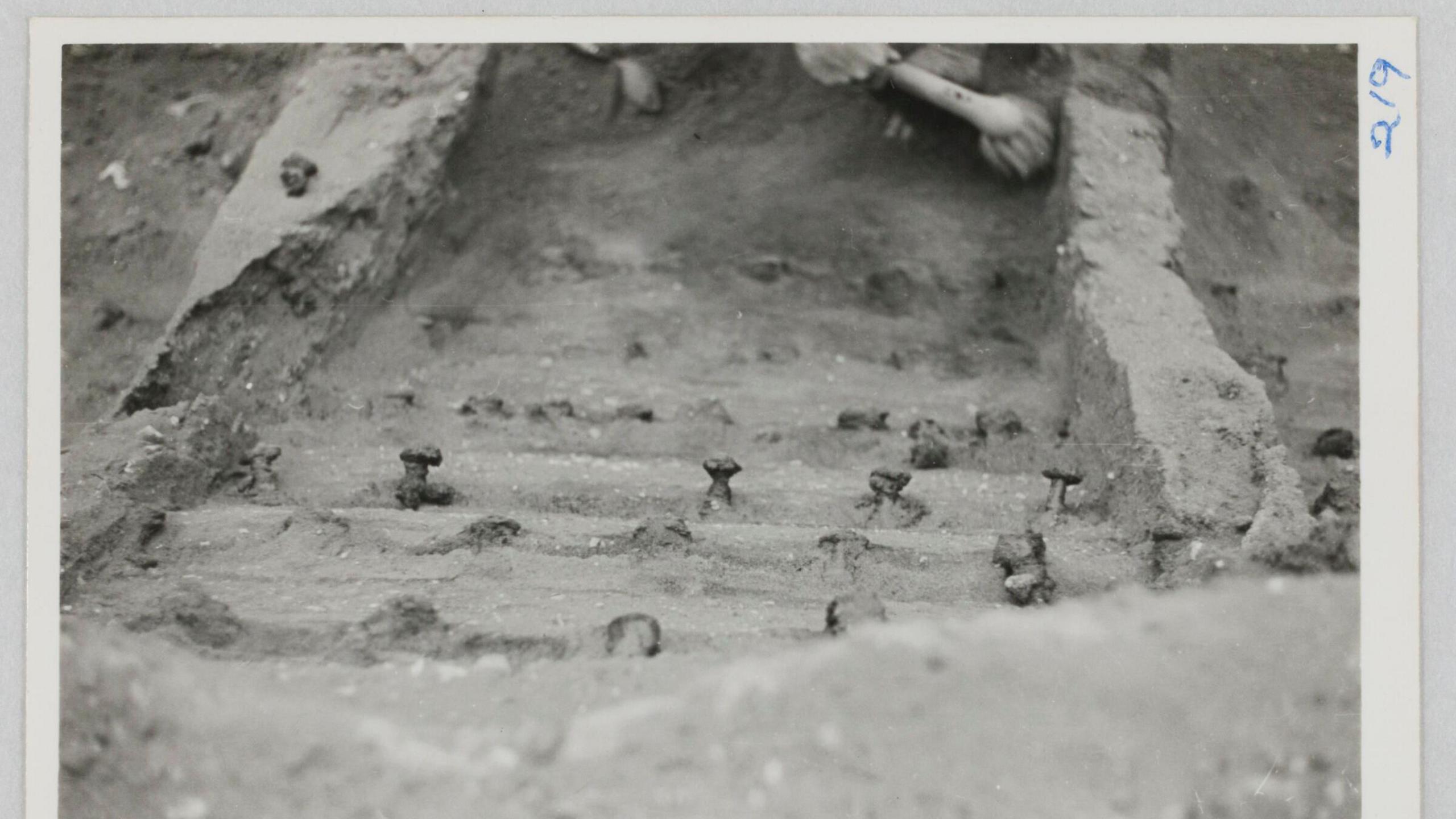 close up of rivets on Sutton Hoo ship