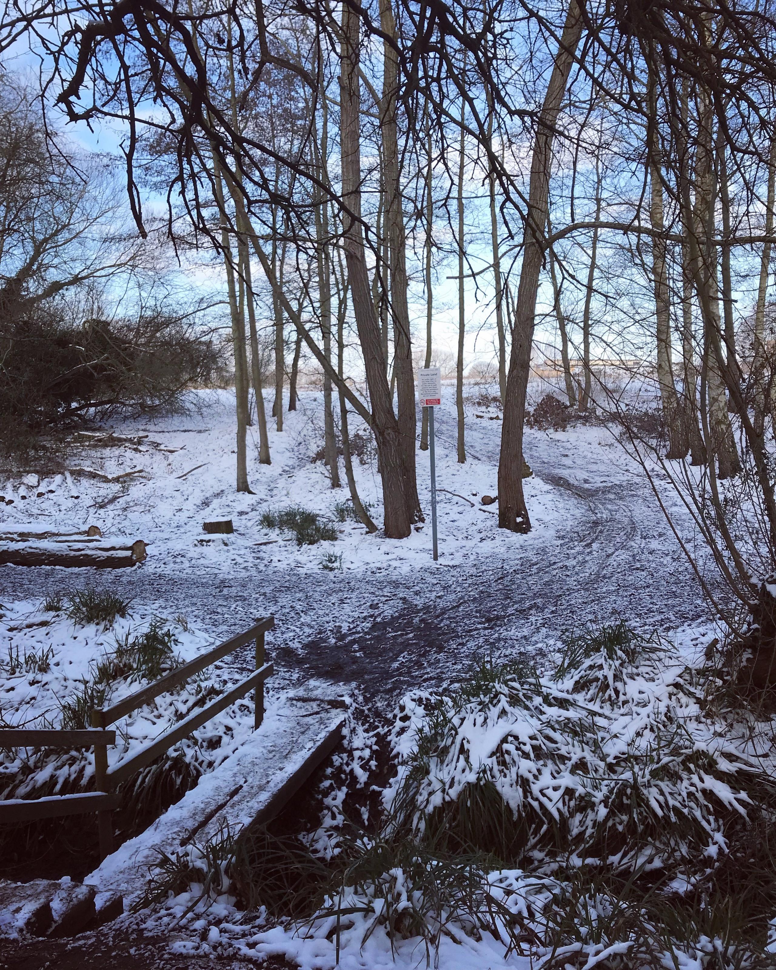 A muddy walk to an inner-city school in Oxford