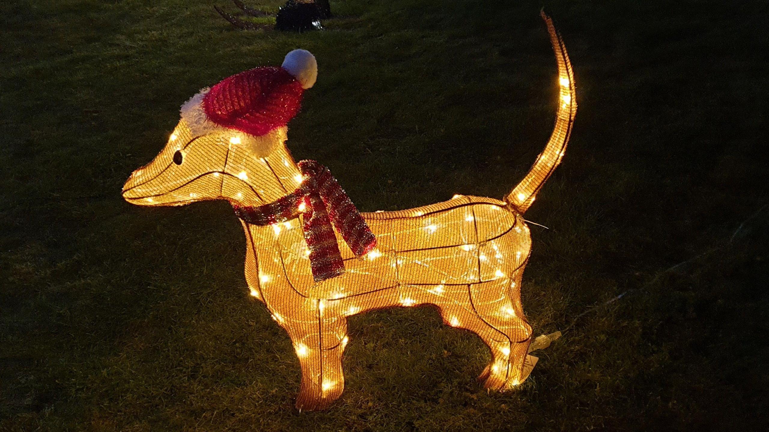 Daschund christmas light