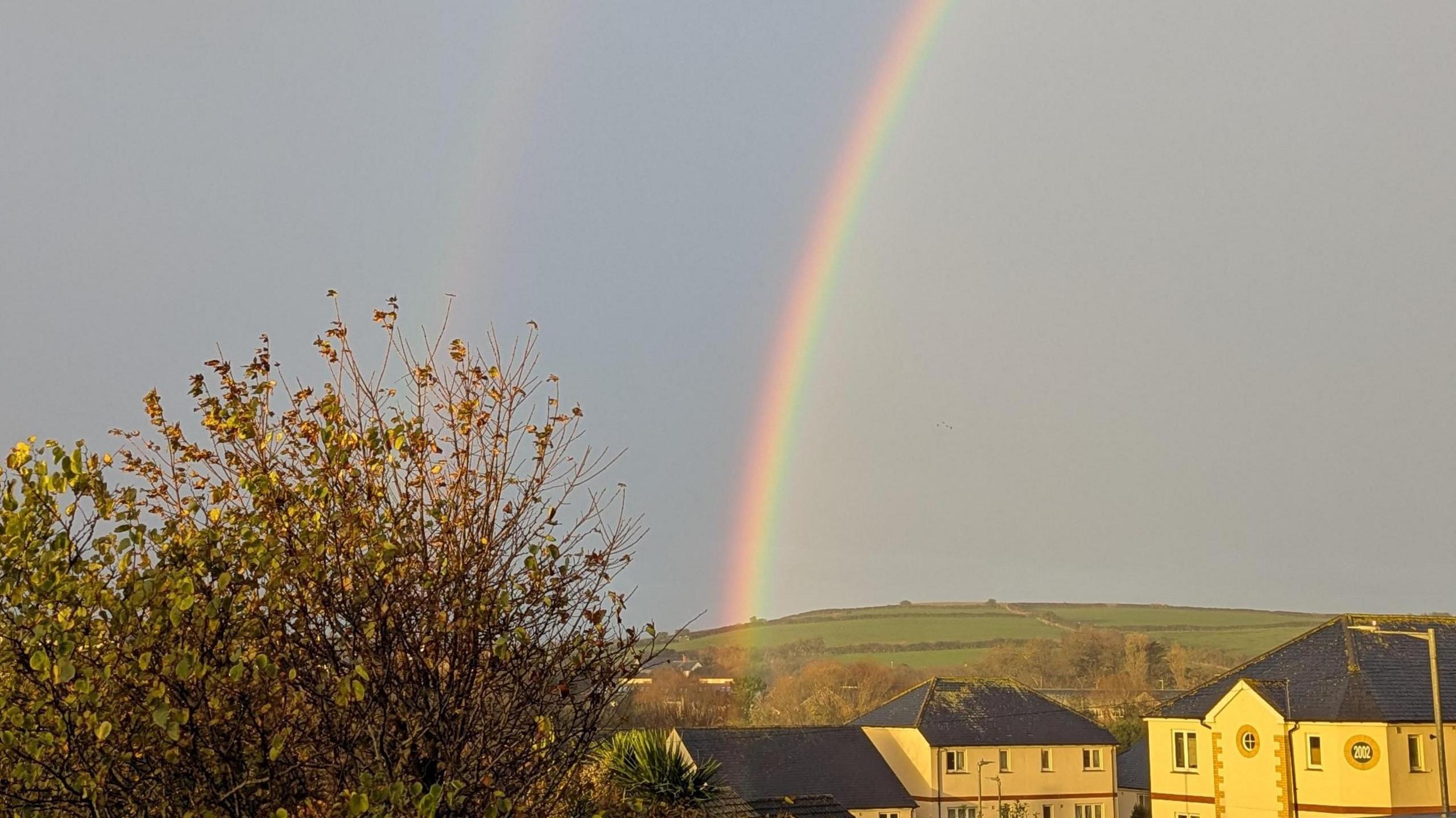 A double rainbow. The one on the left is more faded than the one on the right. There are yellow houses in the bottom right. In the bottom left of the image is the top of a tree with green and yellow leaves. The sky is grey. There are fields in the background. 
