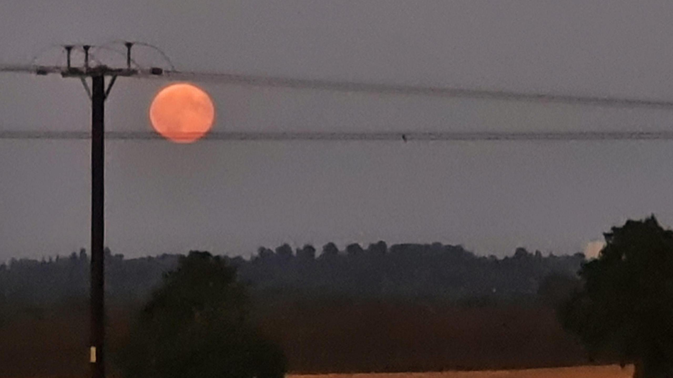 An electricity pole and a wooded area can be seen as the orange super moon hangs in the sky. 