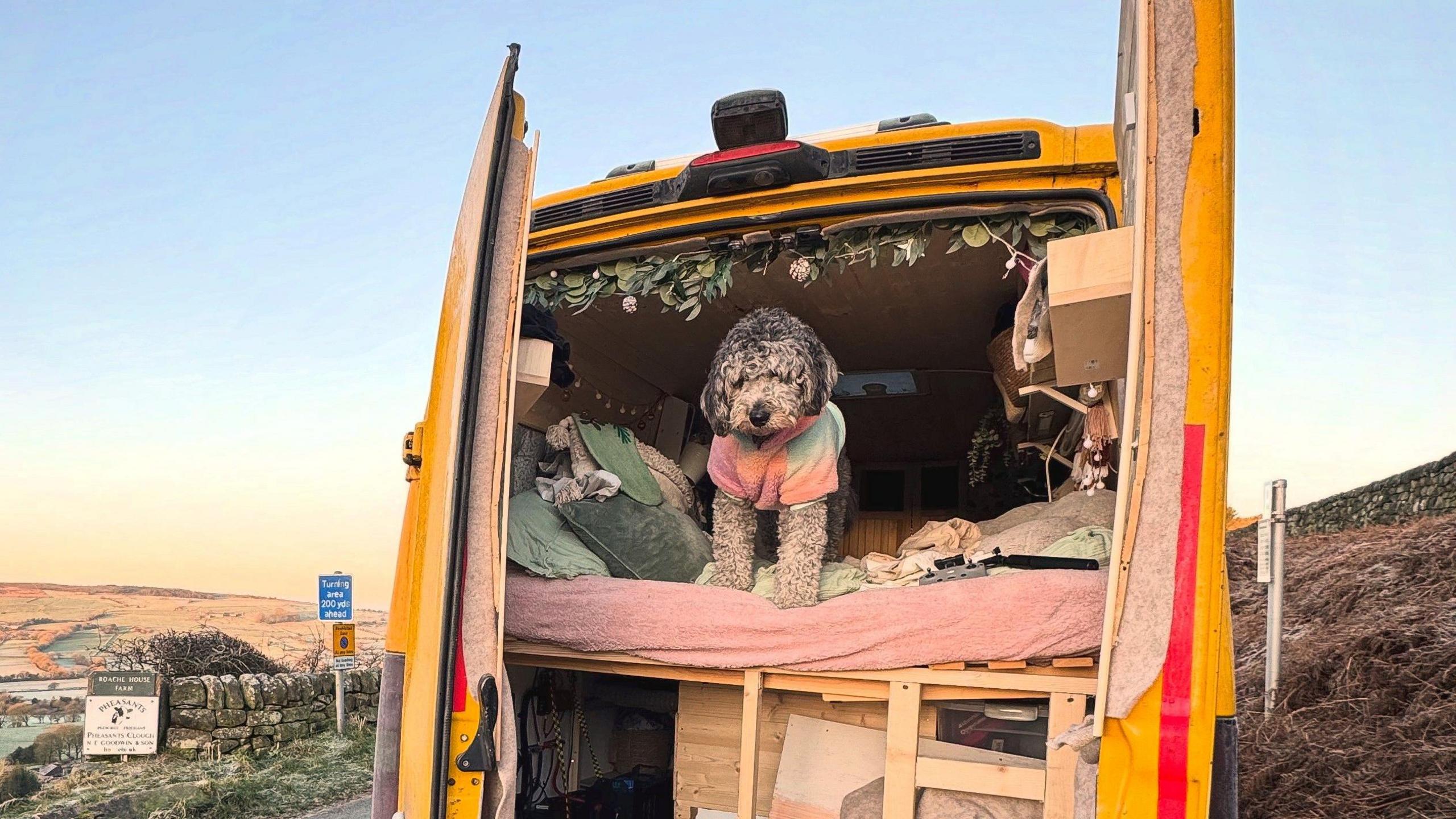Ella Dungey's dog is perched on a bed in the back of her van, which looks comfortable with pillows and sheets. The back doors of the van are open and the picture has been taken from outside the vehicle, which is parked in a hilly area of countryside.