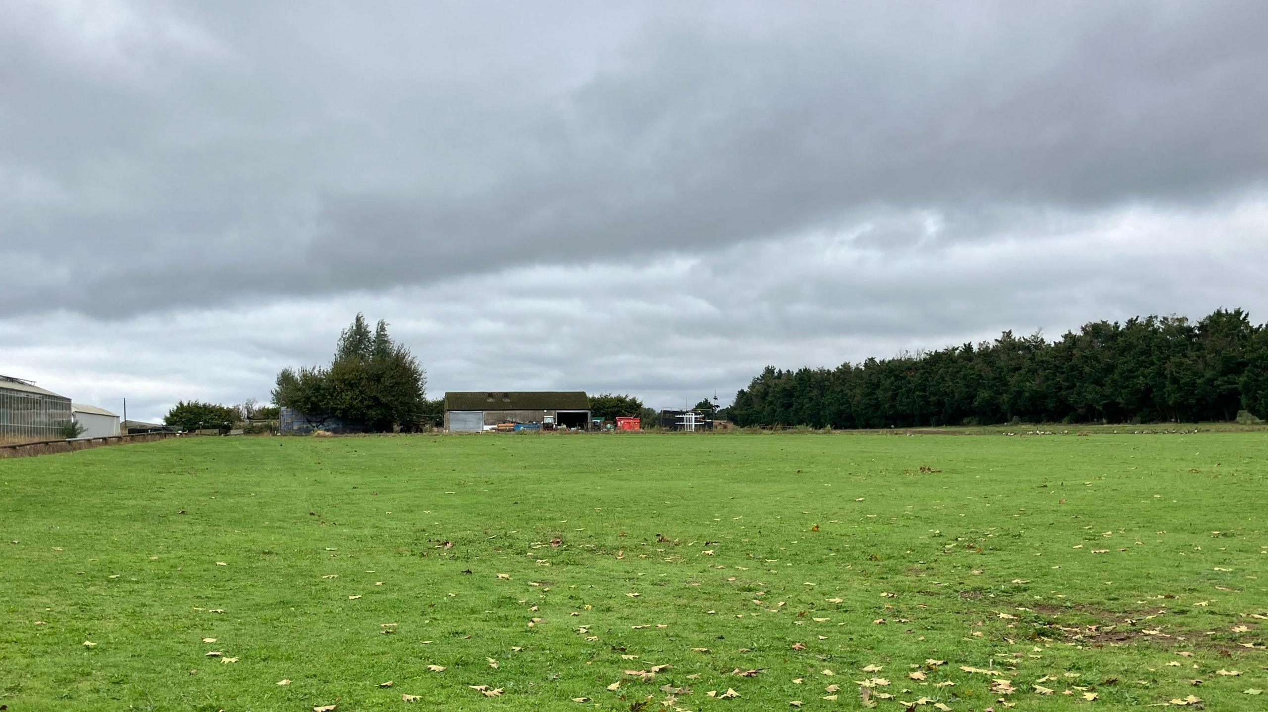 Former green belt land at Secretts of Milford, greenhouse, trees, barn 