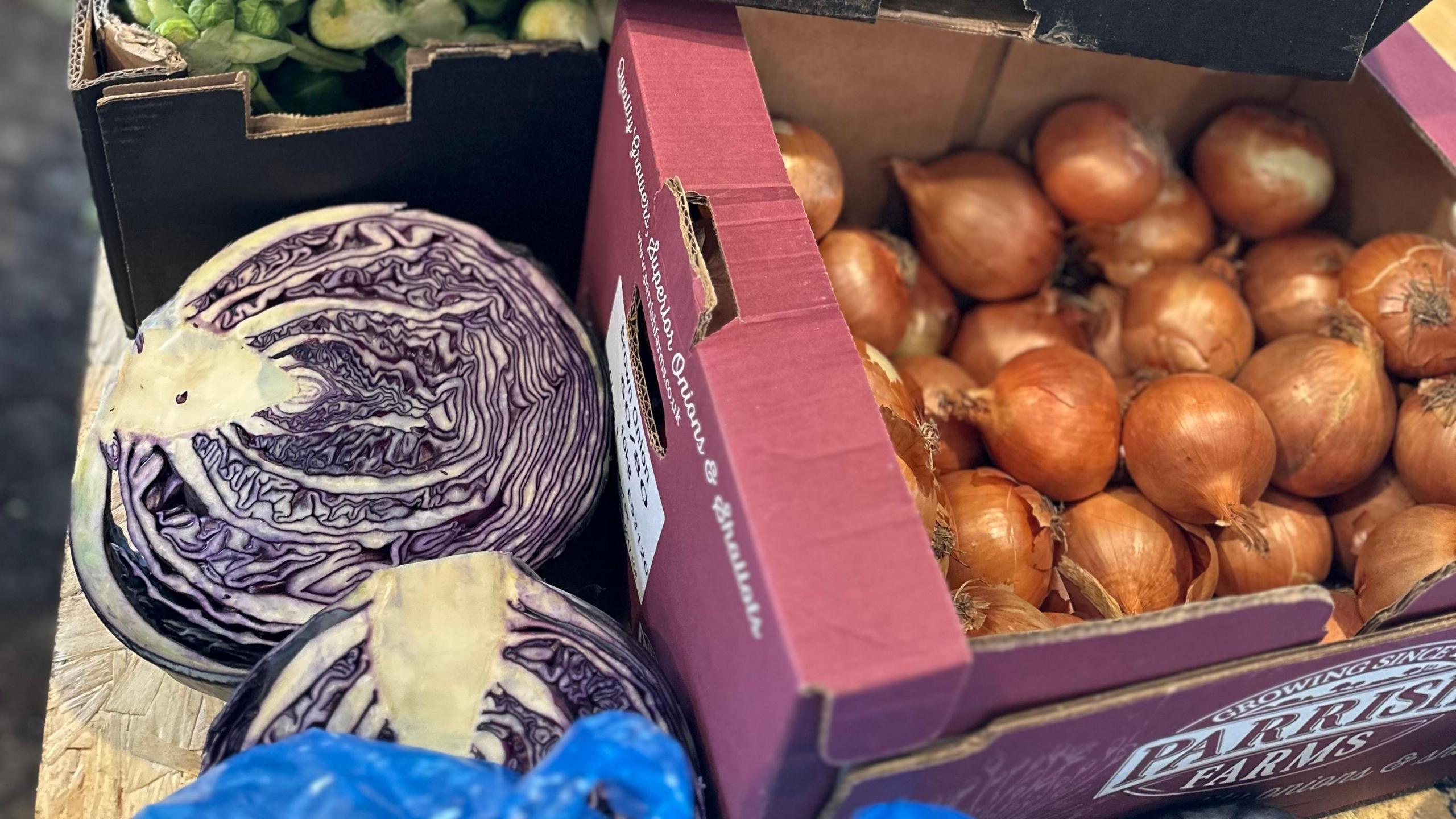 Two red cabbages and a box of onions sit in cardboard boxes