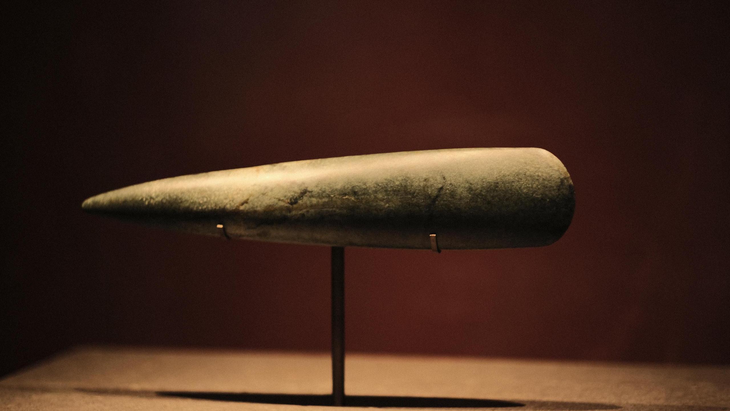 A tooth-shaped object is on display at a stand within the exhibition