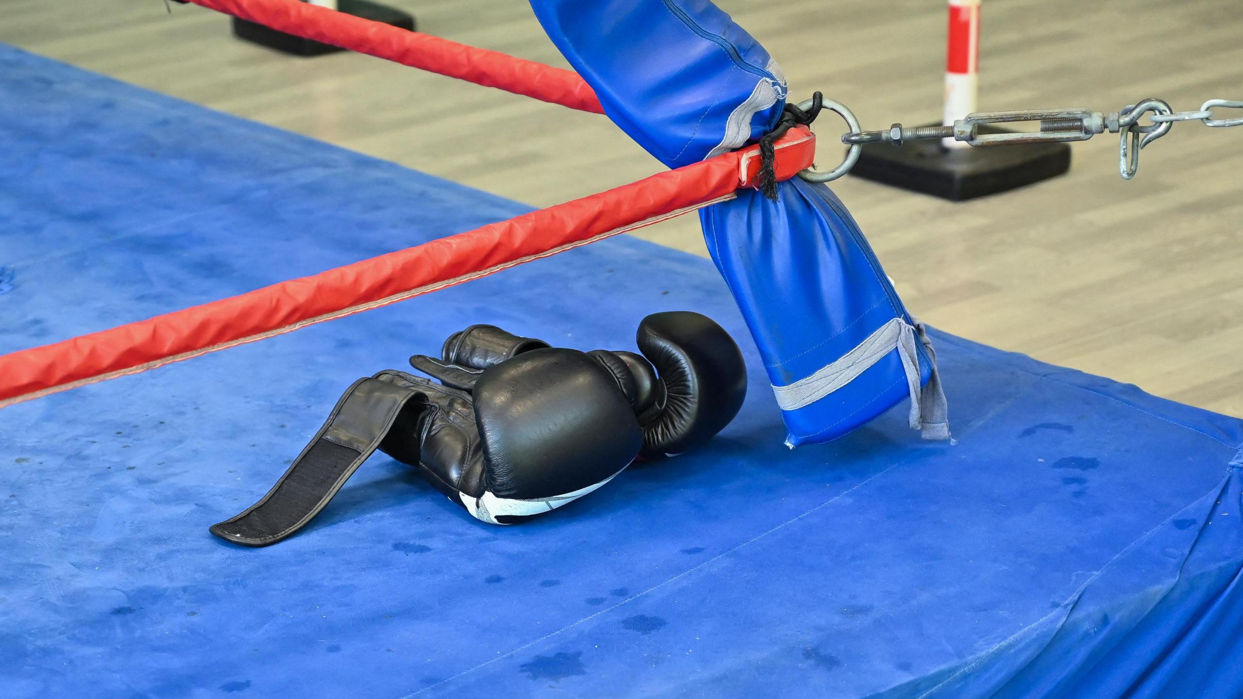 Boxing gloves