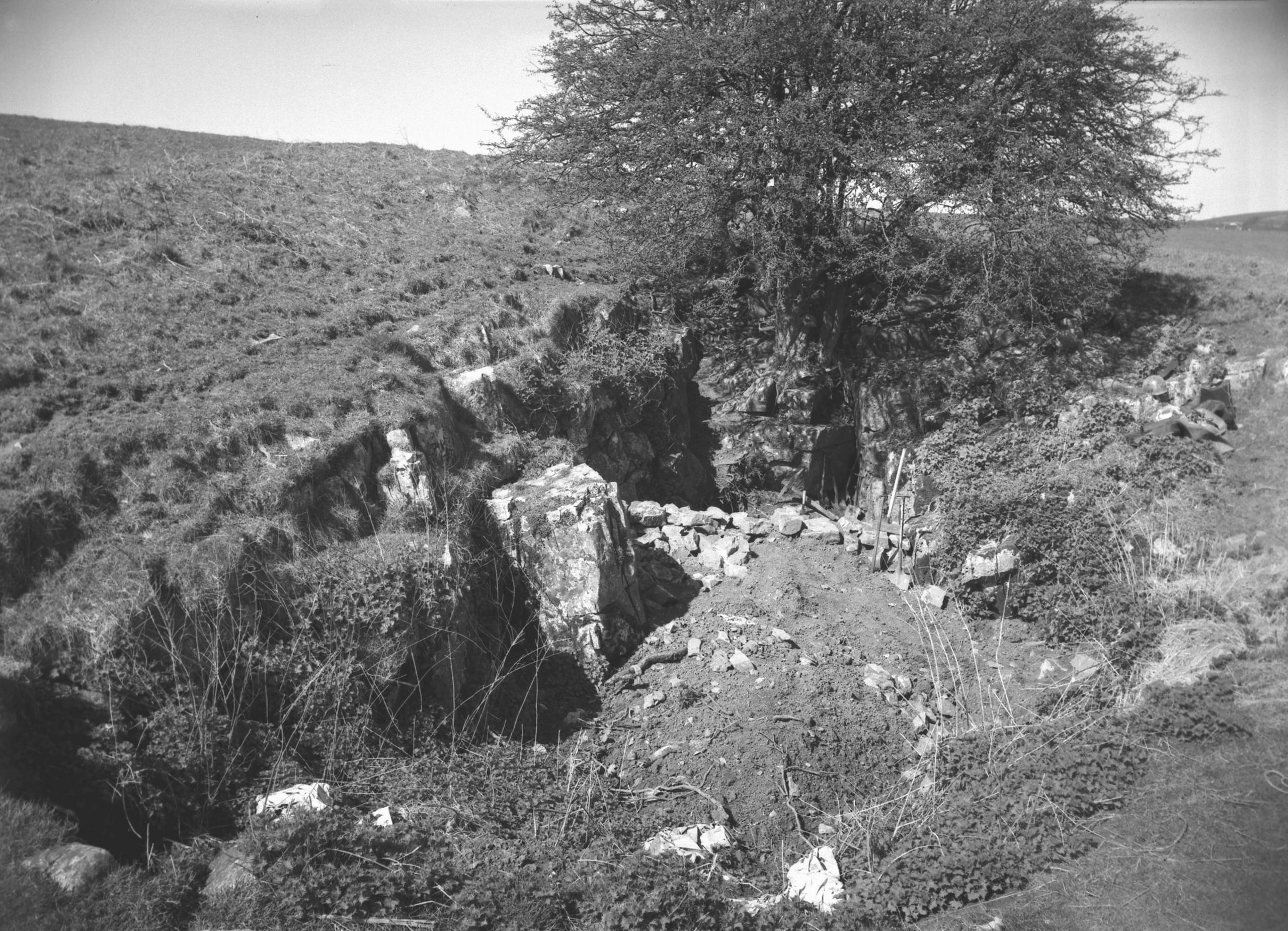 The bones were found by cavers in the 1970s in Somerset