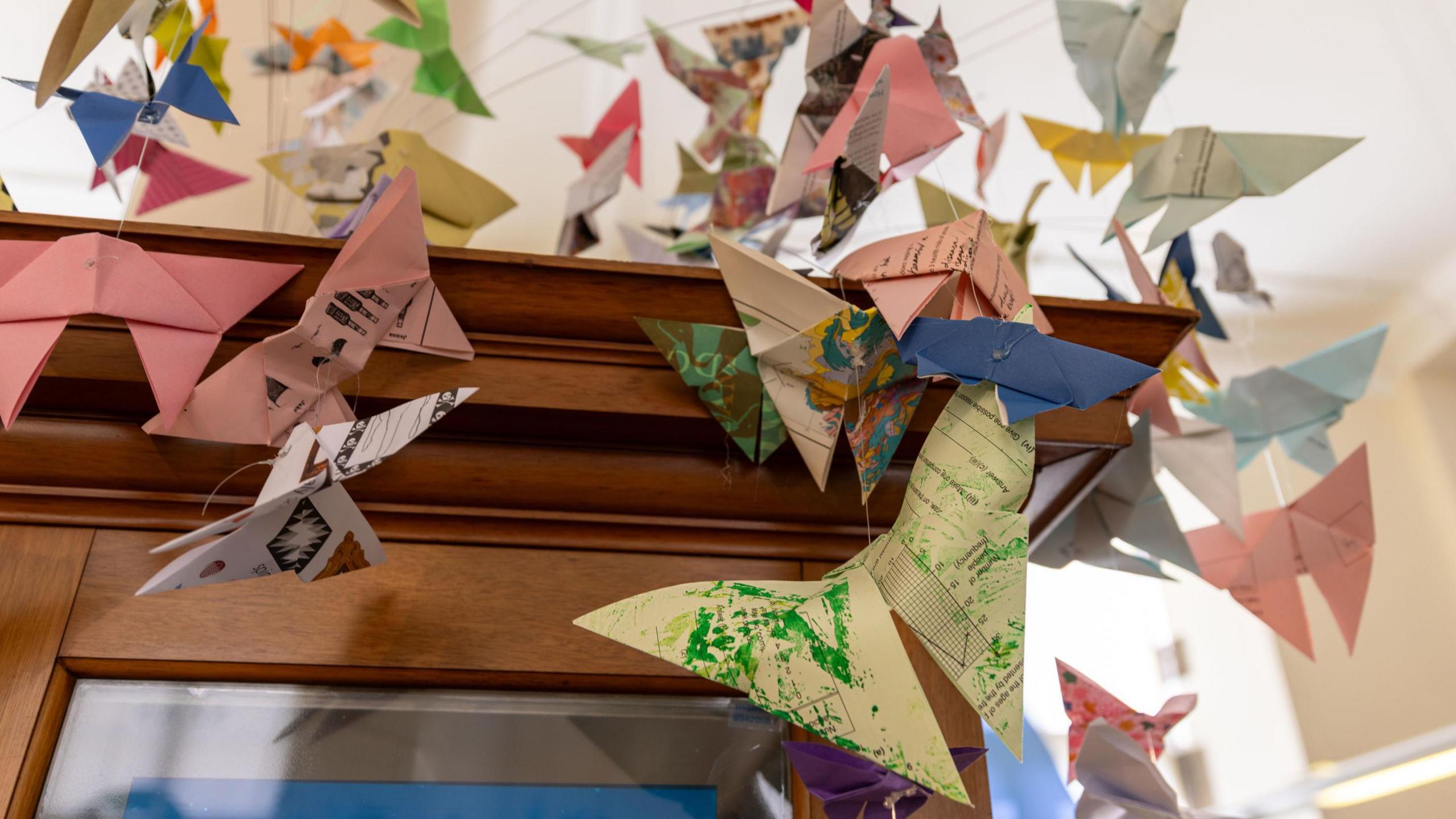 Paper butterflies on display in a museum