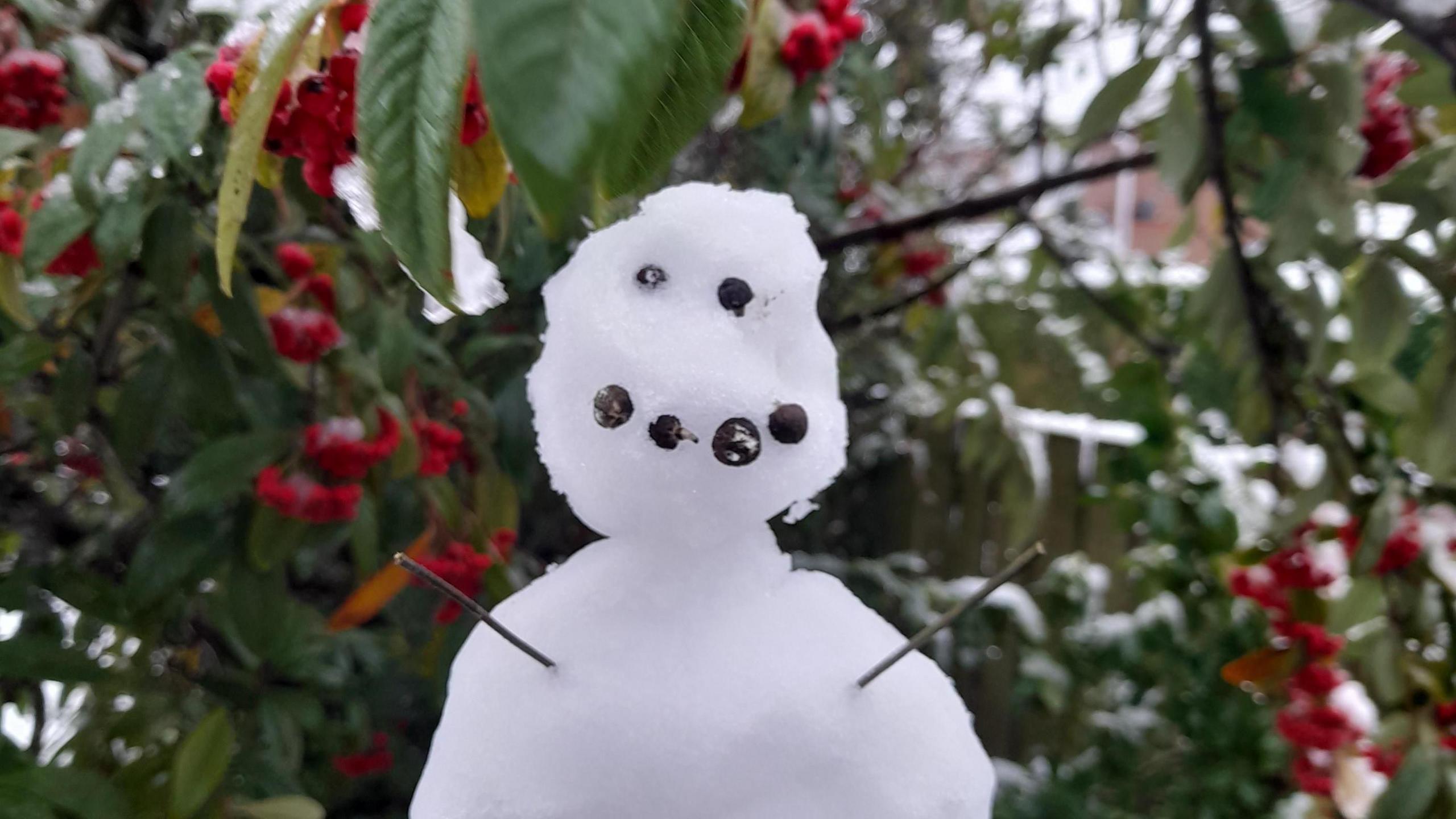 A small snowman has two stick arms and a smile made from whole peppercorns. In the background, there is a light dusting of snow on a bush.